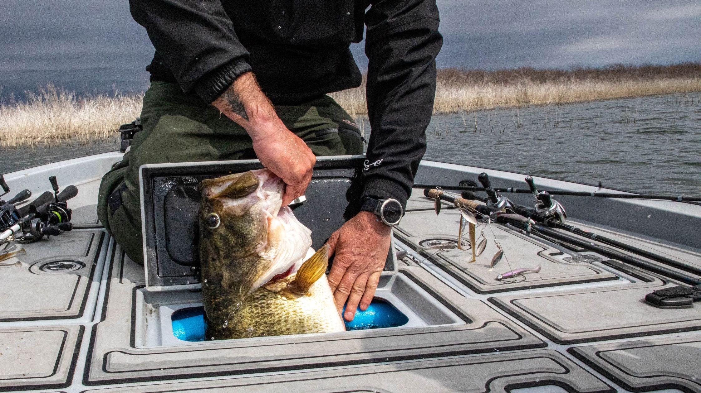 The West Texas Story: Brought to you by the Divine Swimbait