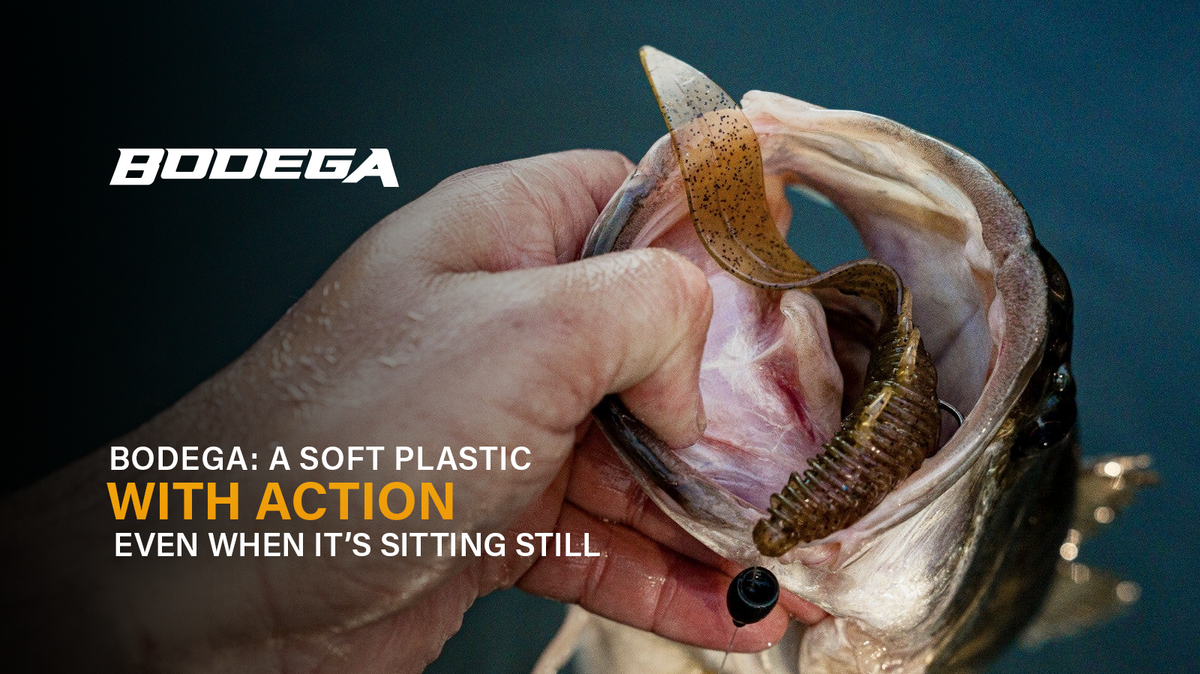 Bodega: A Soft Plastic With Action Even When It’s Sitting Still