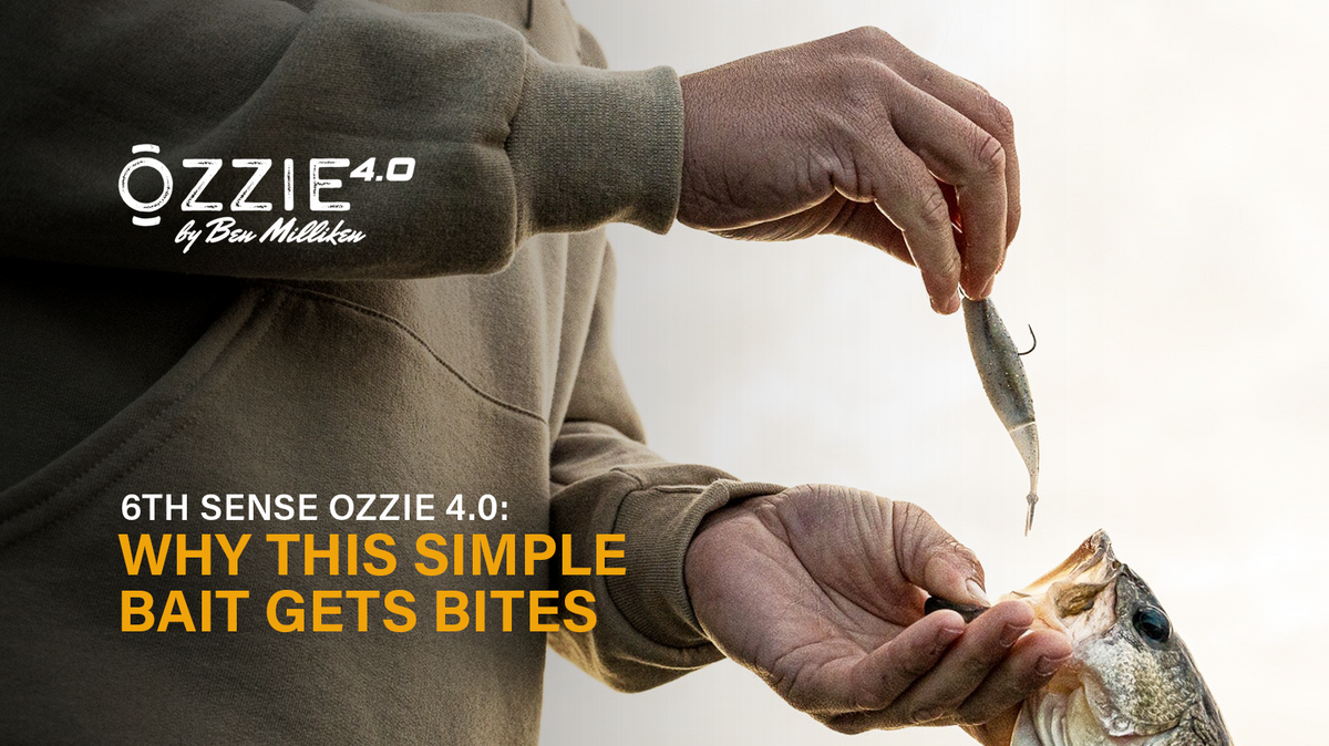 6th Sense Ozzie 4.0: Why This Simple Bait Gets Big Bites