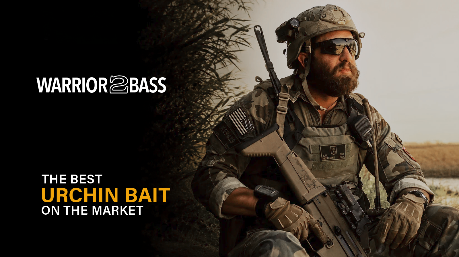 Warrior 2 Bass