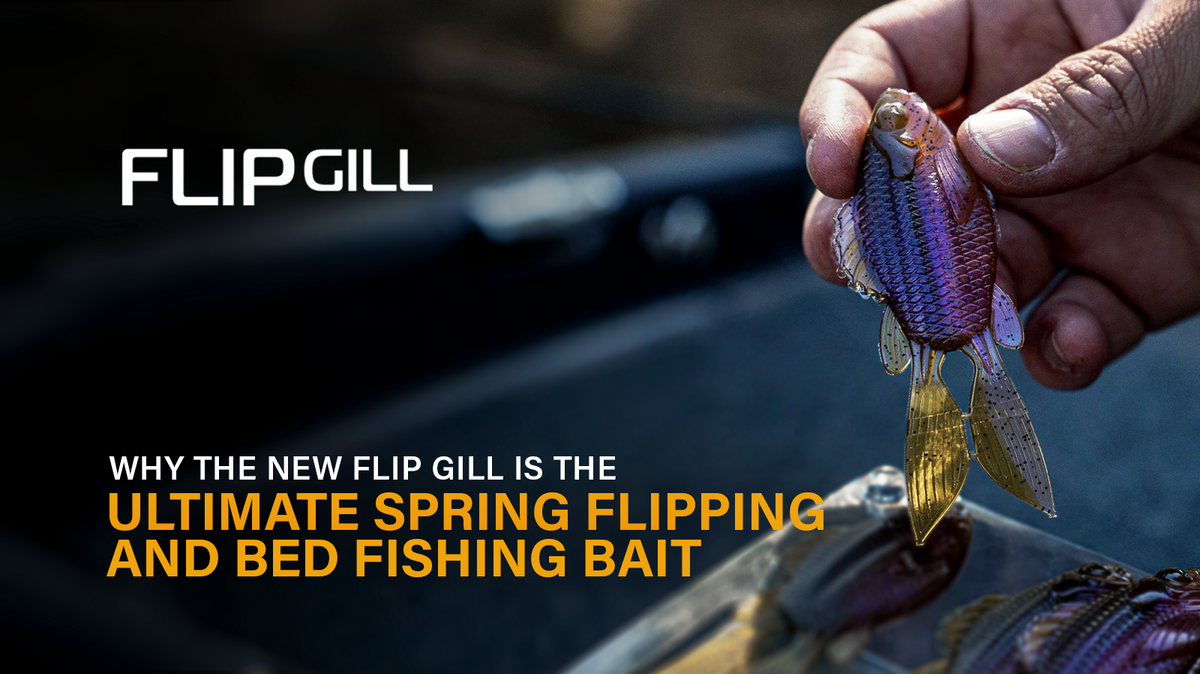 Why the New Flip Gill Is the Ultimate Spring Flipping & Bed Fishing Bait