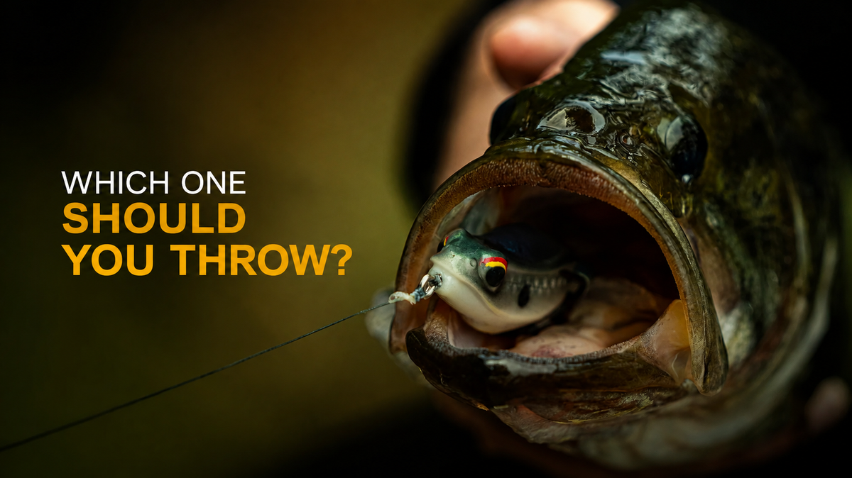 Vega Frog vs. Vega Hush: Which One Should You Throw?