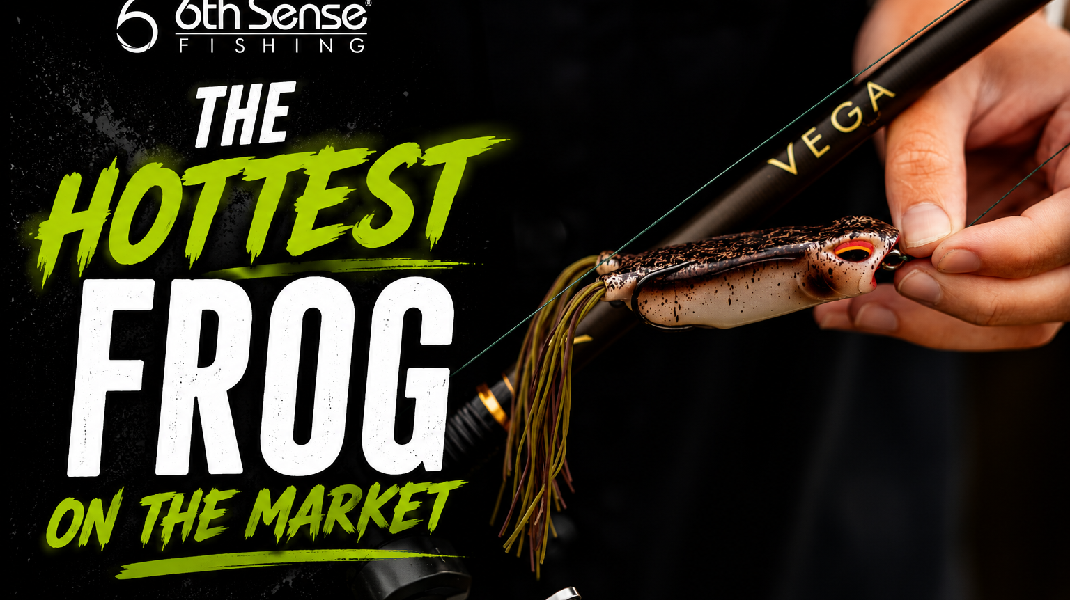 Building your 6th Sense: The VEGA Frog