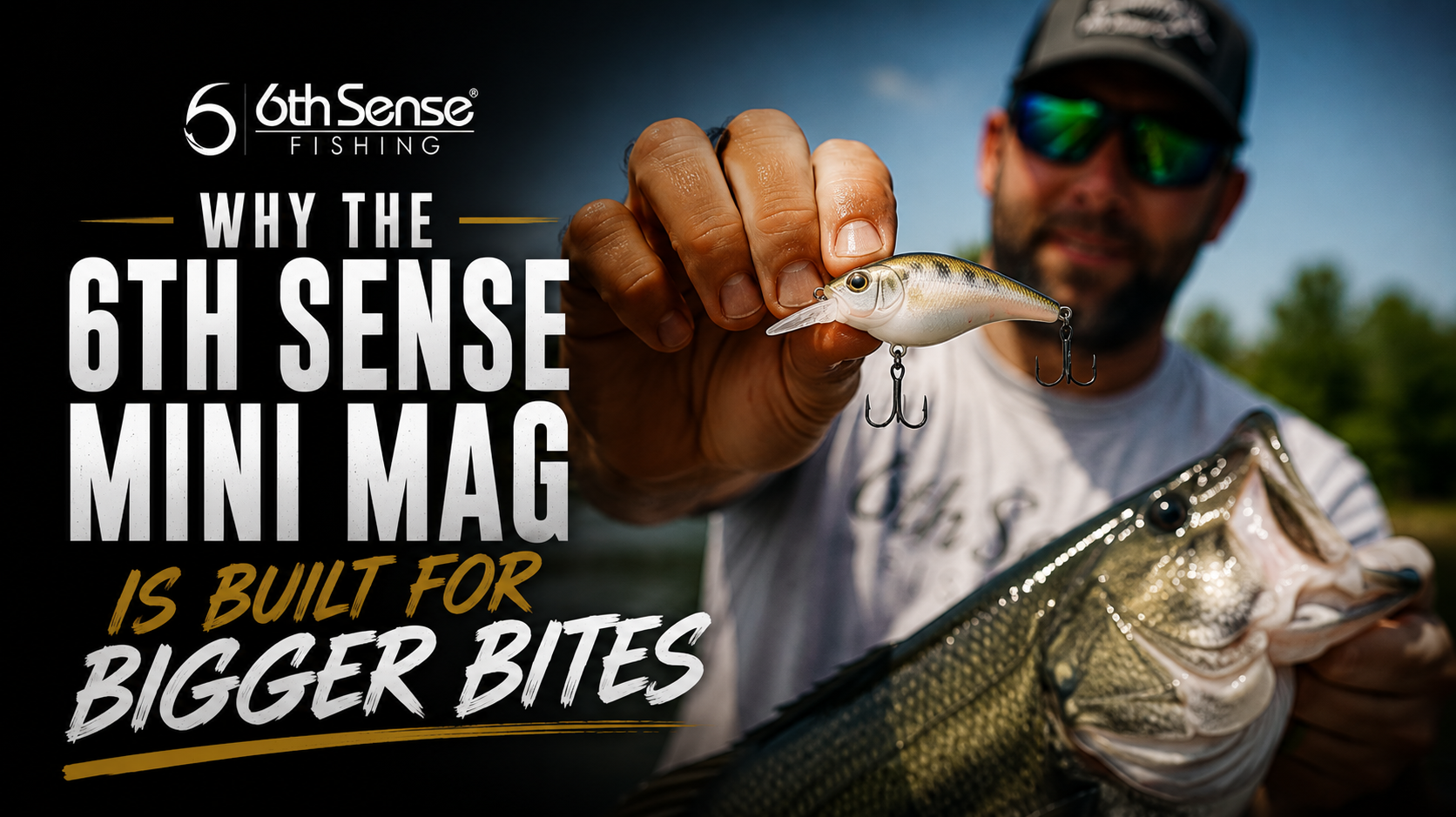 Building your 6th Sense: Lee Livesay + Cloud 9 MiniMag
