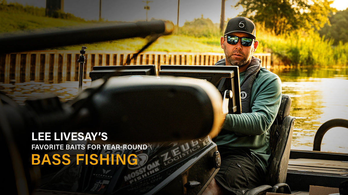 Lee Livesay’s Favorite Baits for Year-Round Bass Fishing
