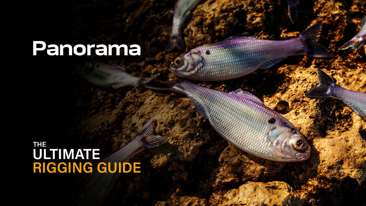 The Panorama: The Ultimate Rigging Guide