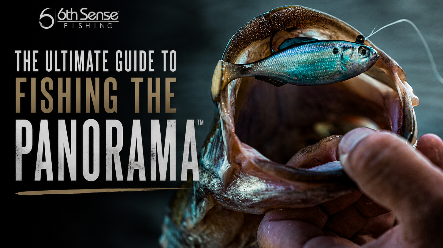 The Ultimate How-To Rigs for Fishing the Panorama