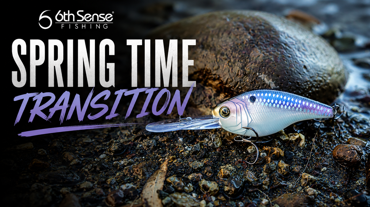 Building your 6th Sense: Spring Time Transition