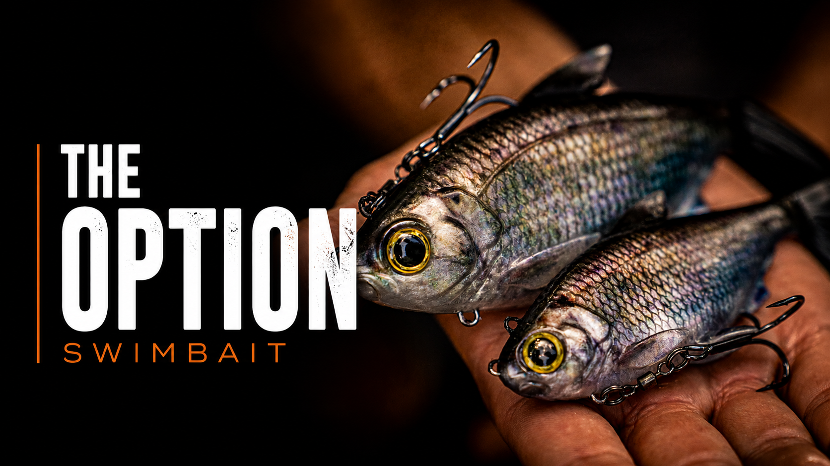 Option Swimbait: One Swimbait, Two Ways to Rig It