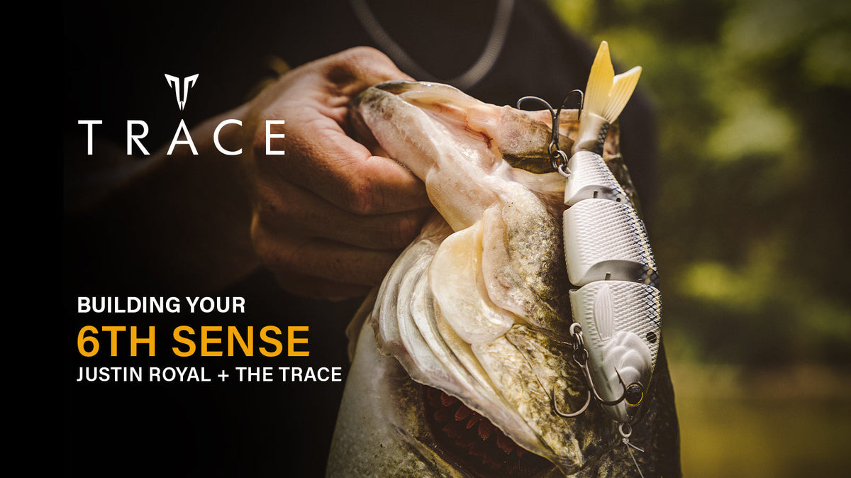 Building your 6th Sense: Justin Royal + The Trace