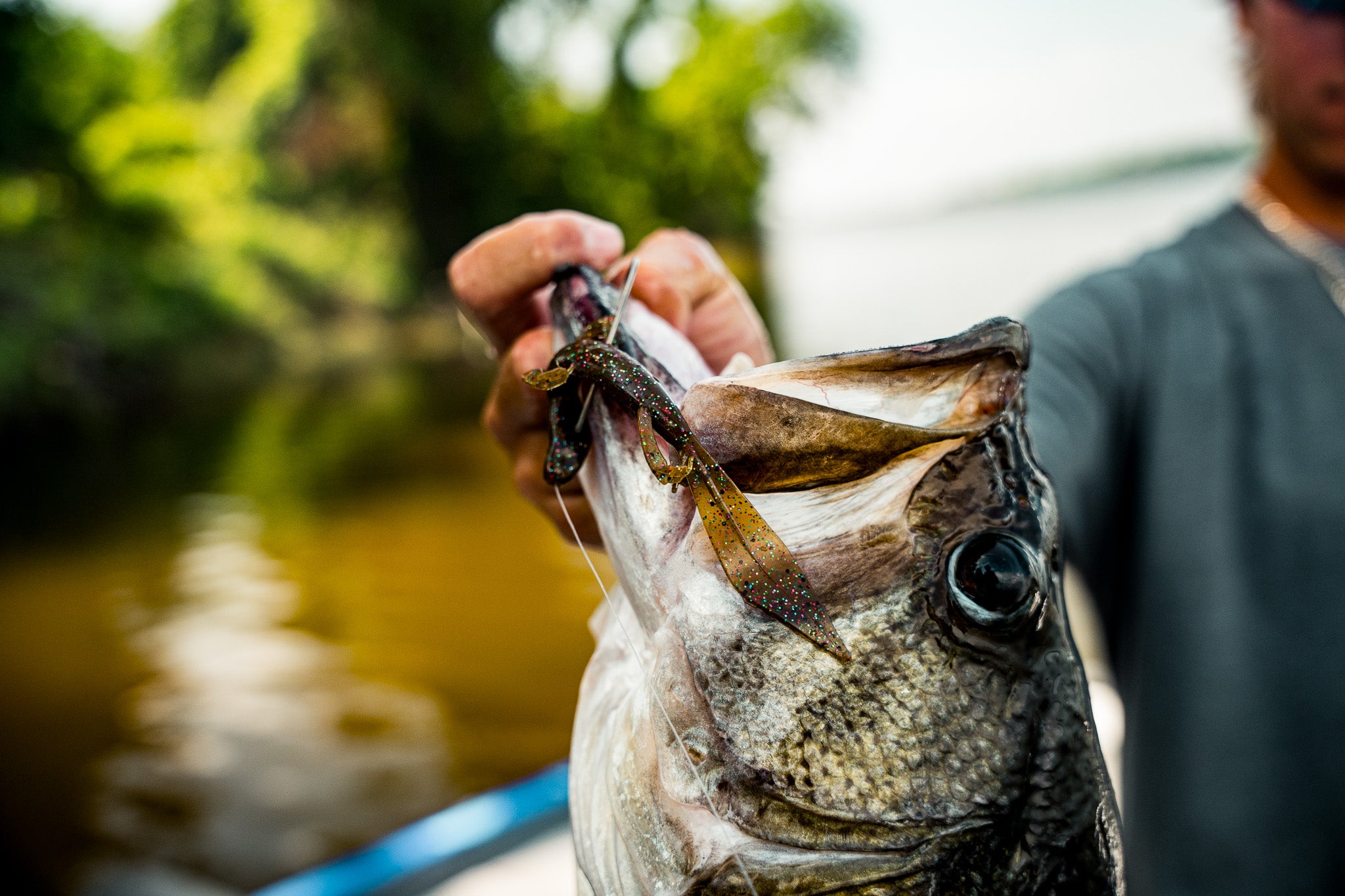 Ridge Lizard 5.7 - Green Pumpkin Juice - 6th Sense Fishing