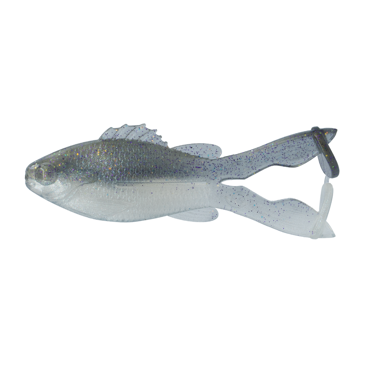 GizzardShad_1.png?crop=center&