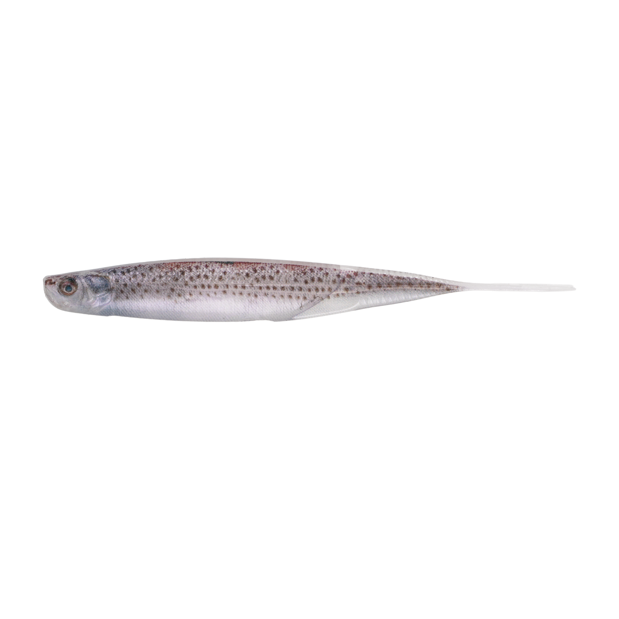 Shindo Coastal Series