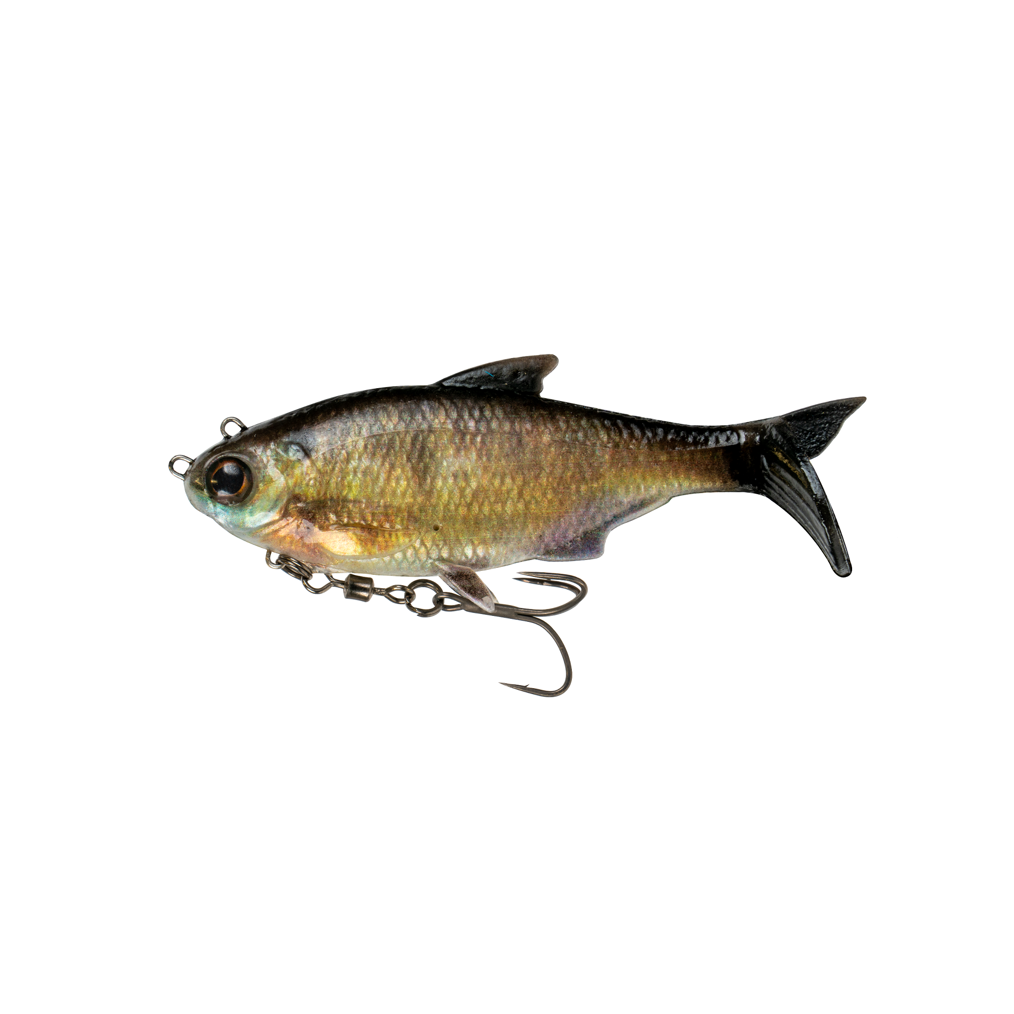 The Option - Live Bluegill - 6th Sense Fishing
