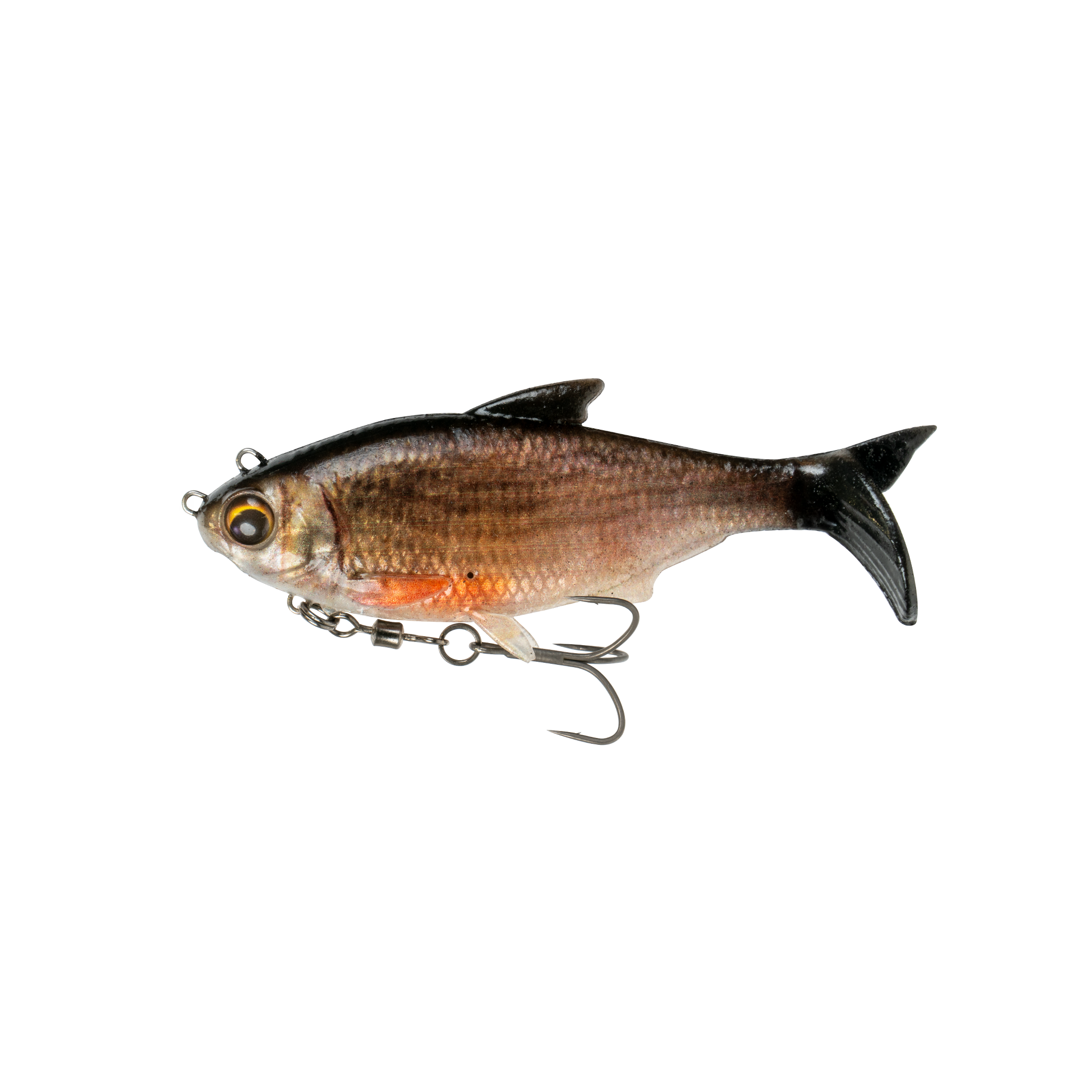 The Option - Live Shiner - 6th Sense Fishing