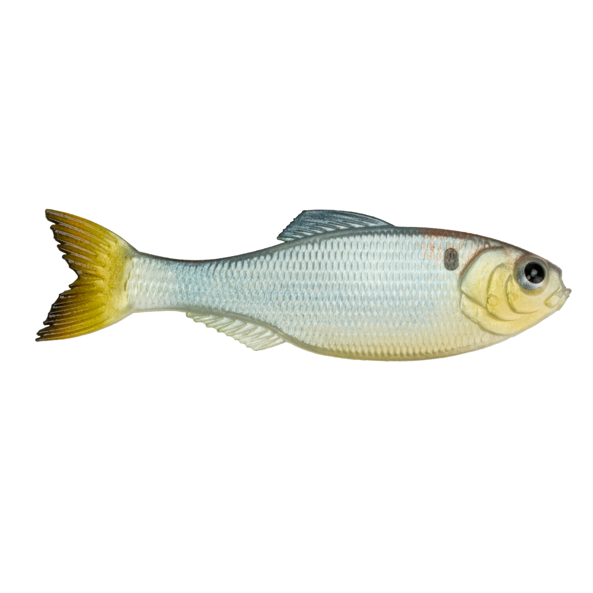 Panorama - Shad Clone Fishing Lure | 6th Sense Fishing