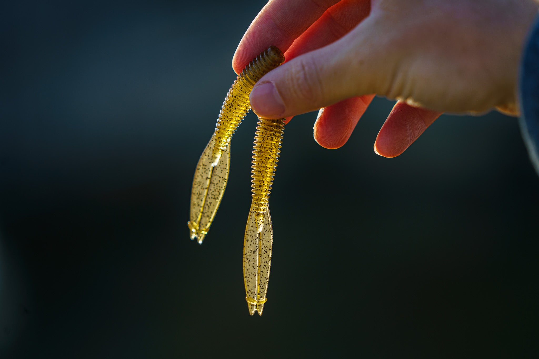 Shindig 3.2 - Live Goby - 6th Sense Fishing