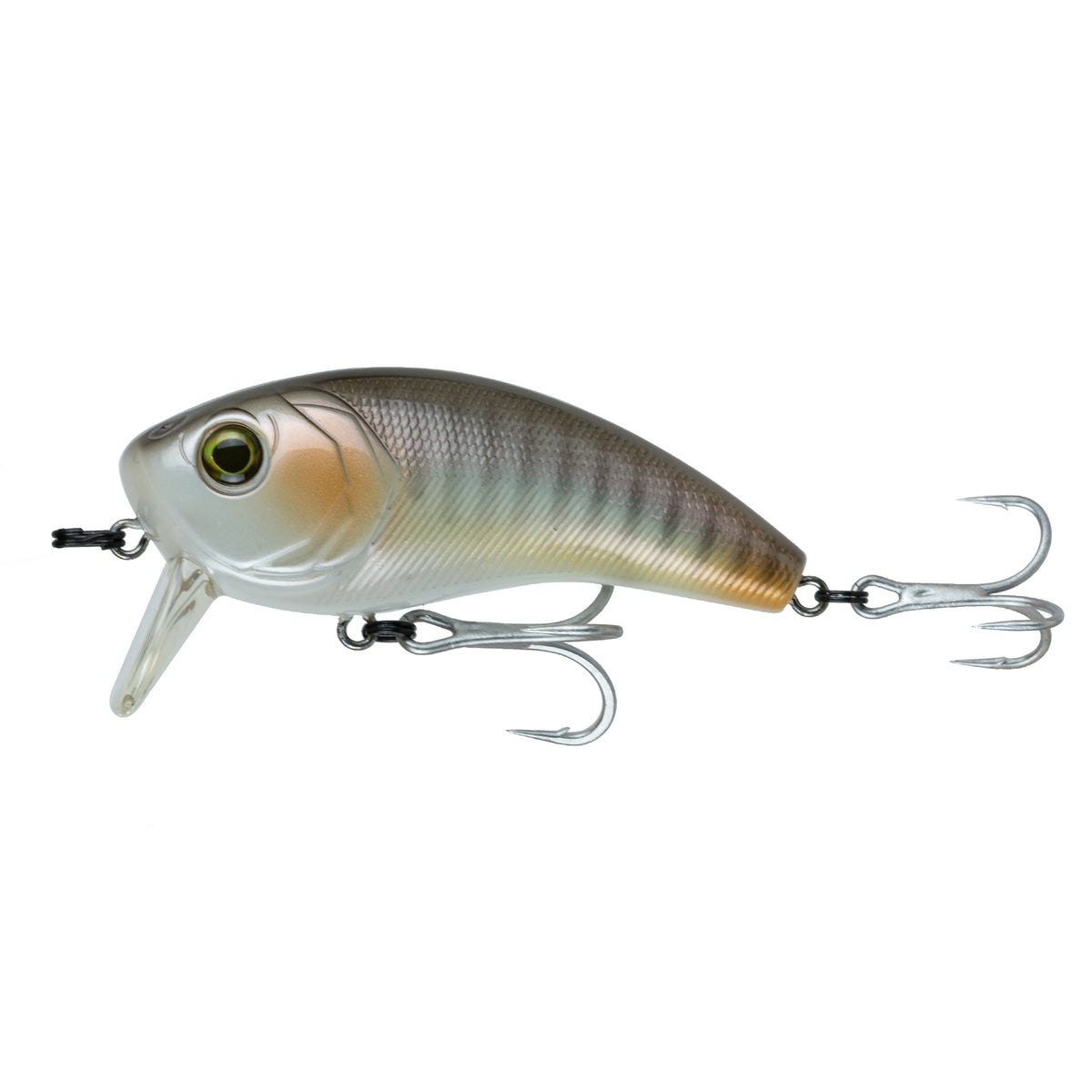  6th Sense Fishing Movement 80wk Saltwater Wakebait (Baby  Speck) : Sports & Outdoors