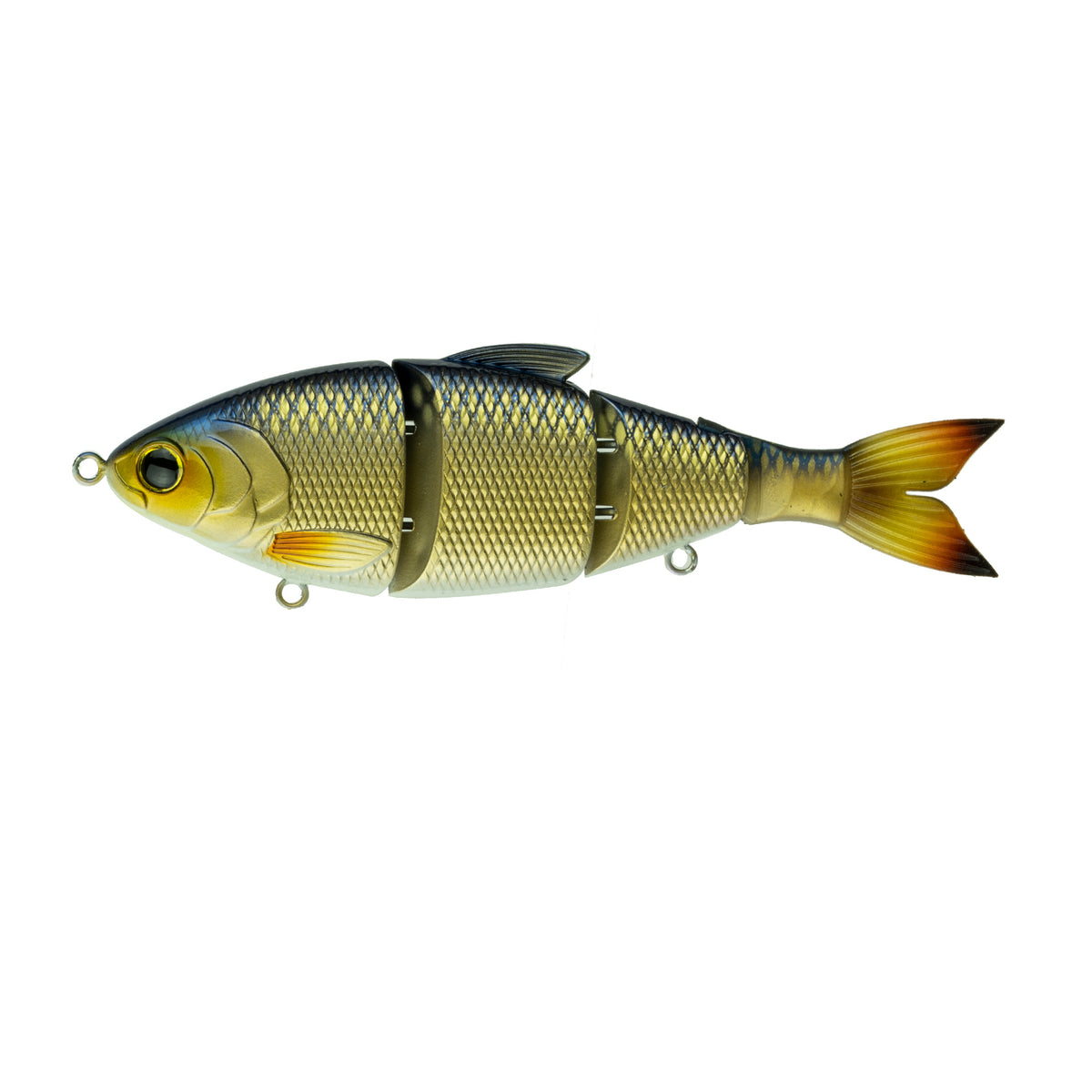 Mountain View Adventures LLC - We have live bait shiners, spikes