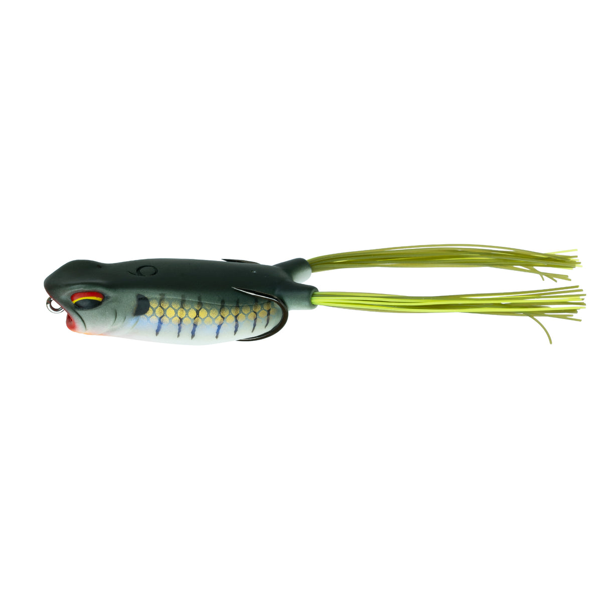Vega Frog - Baby Bluegill Topwater Lure