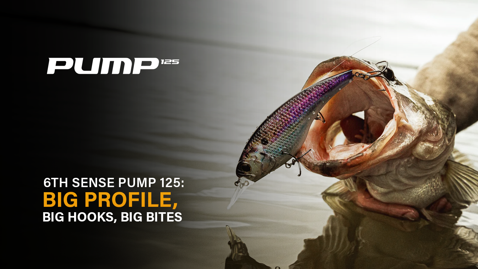 The Pump: Big Profile, Big Hooks, Big Bites