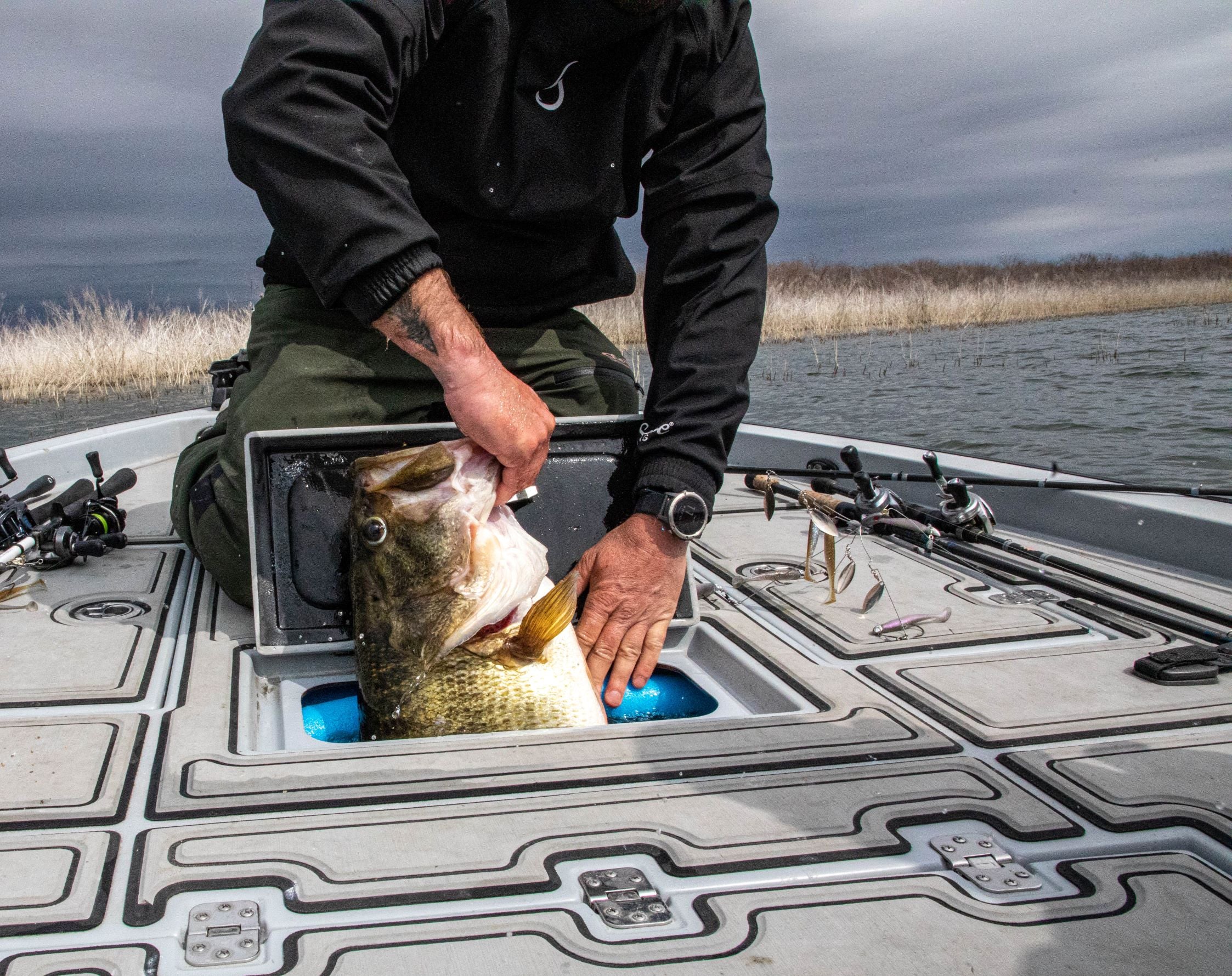 The West Texas Story: Brought to you by the Divine Swimbait