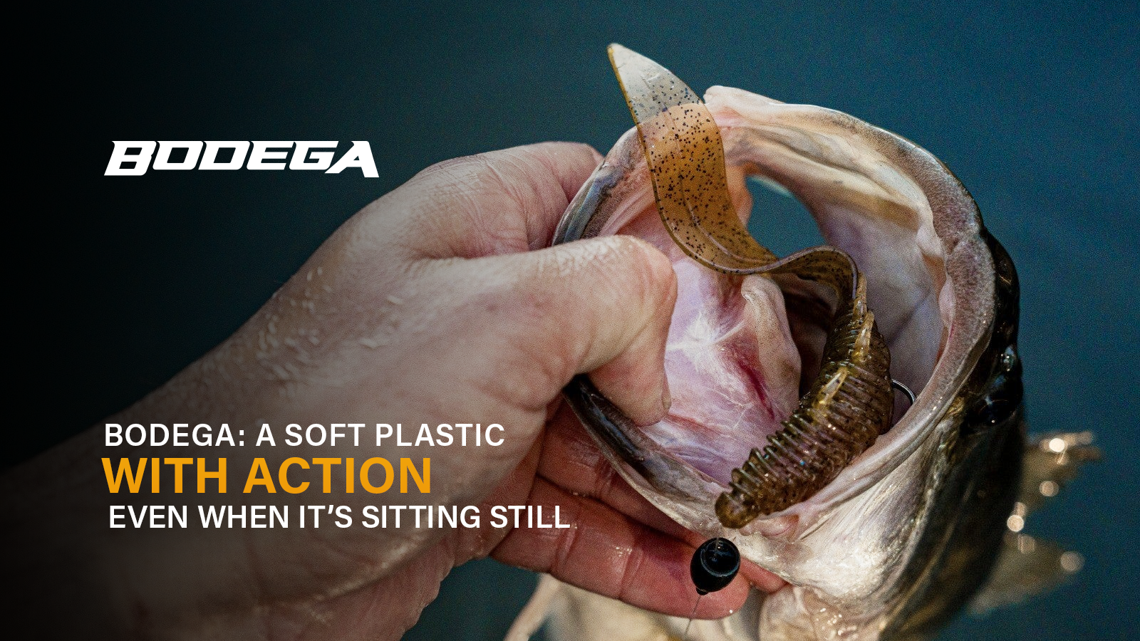 Bodega: A Soft Plastic With Action Even When It’s Sitting Still