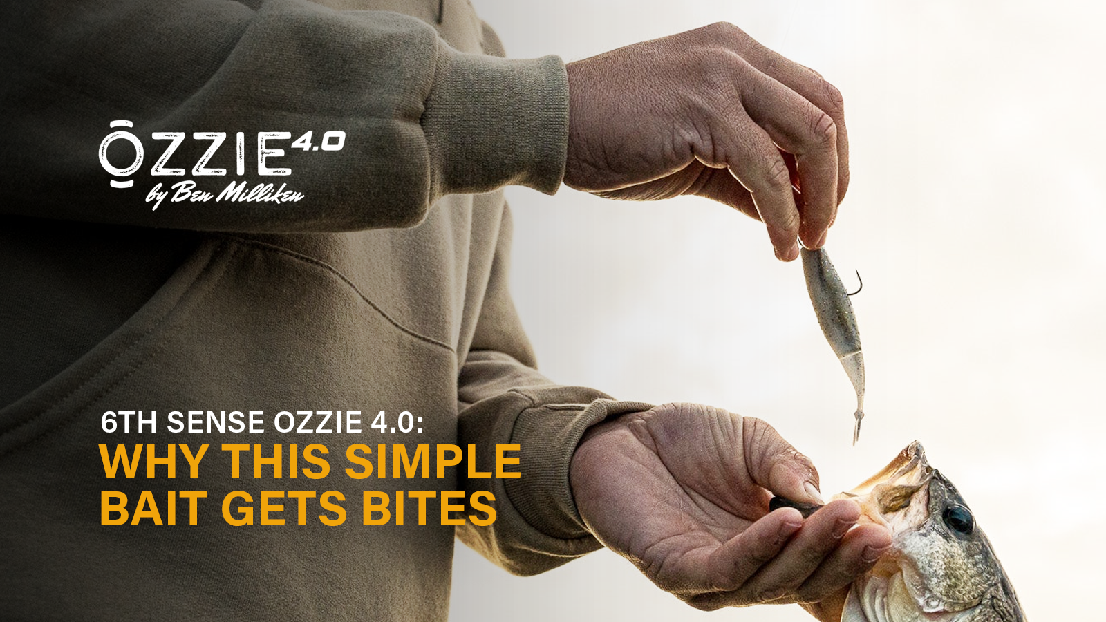 6th Sense Ozzie 4.0: Why This Simple Bait Gets Big Bites