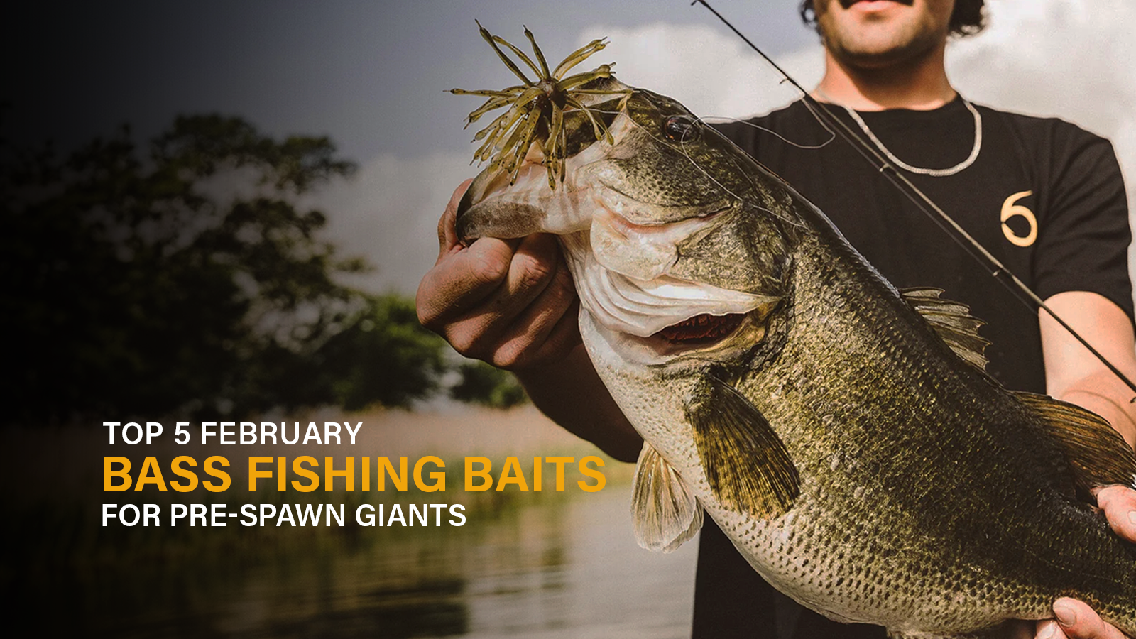 Top 5 February Bass Fishing Baits for Pre-Spawn Giants