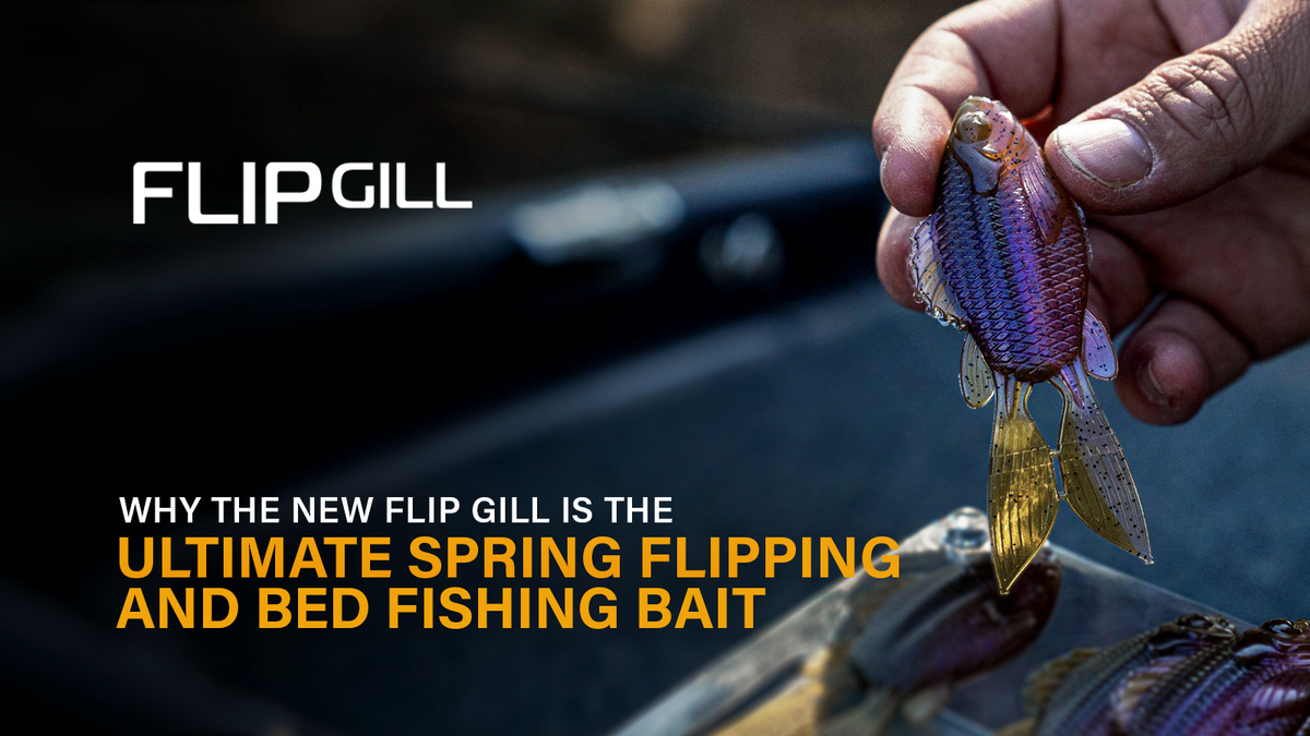 Why the New Flip Gill Is the Ultimate Spring Flipping & Bed Fishing Bait