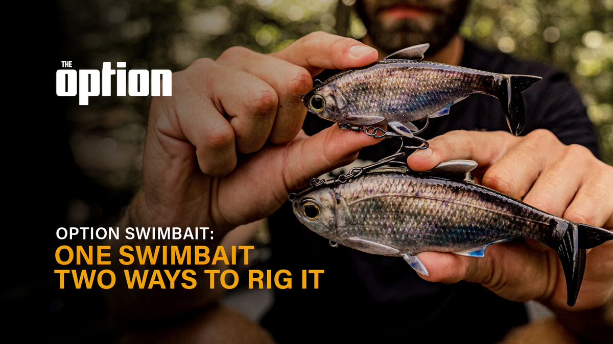 Option Swimbait: One Swimbait, Two Ways to Rig It