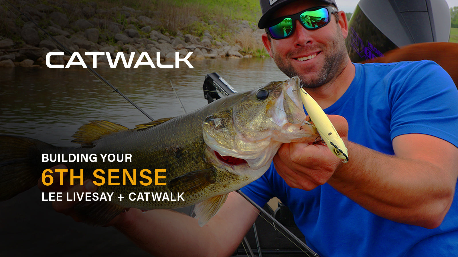 Building your 6th Sense: Lee Livesay + Catwalk