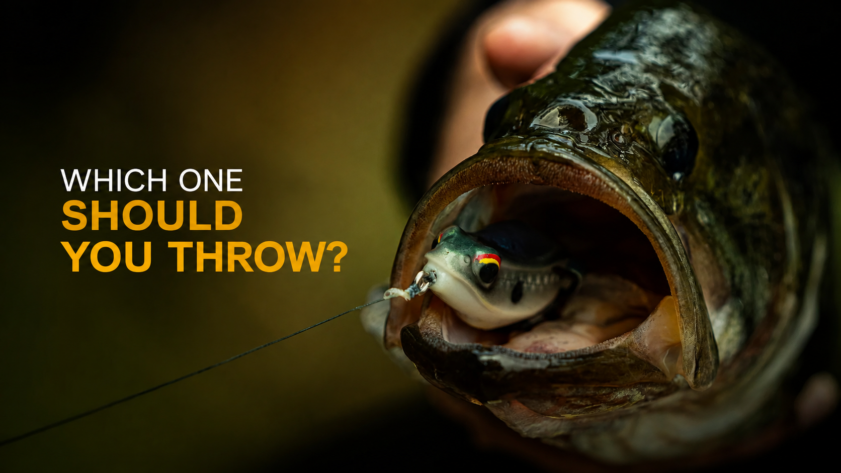 Vega Frog vs. Vega Hush: Which One Should You Throw?