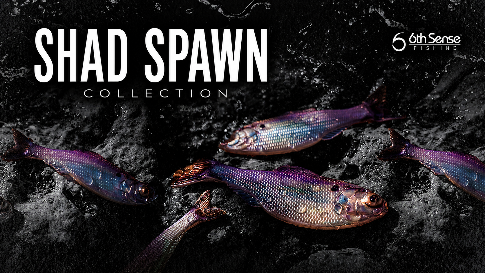 Building your 6th Sense: The Shad Spawn