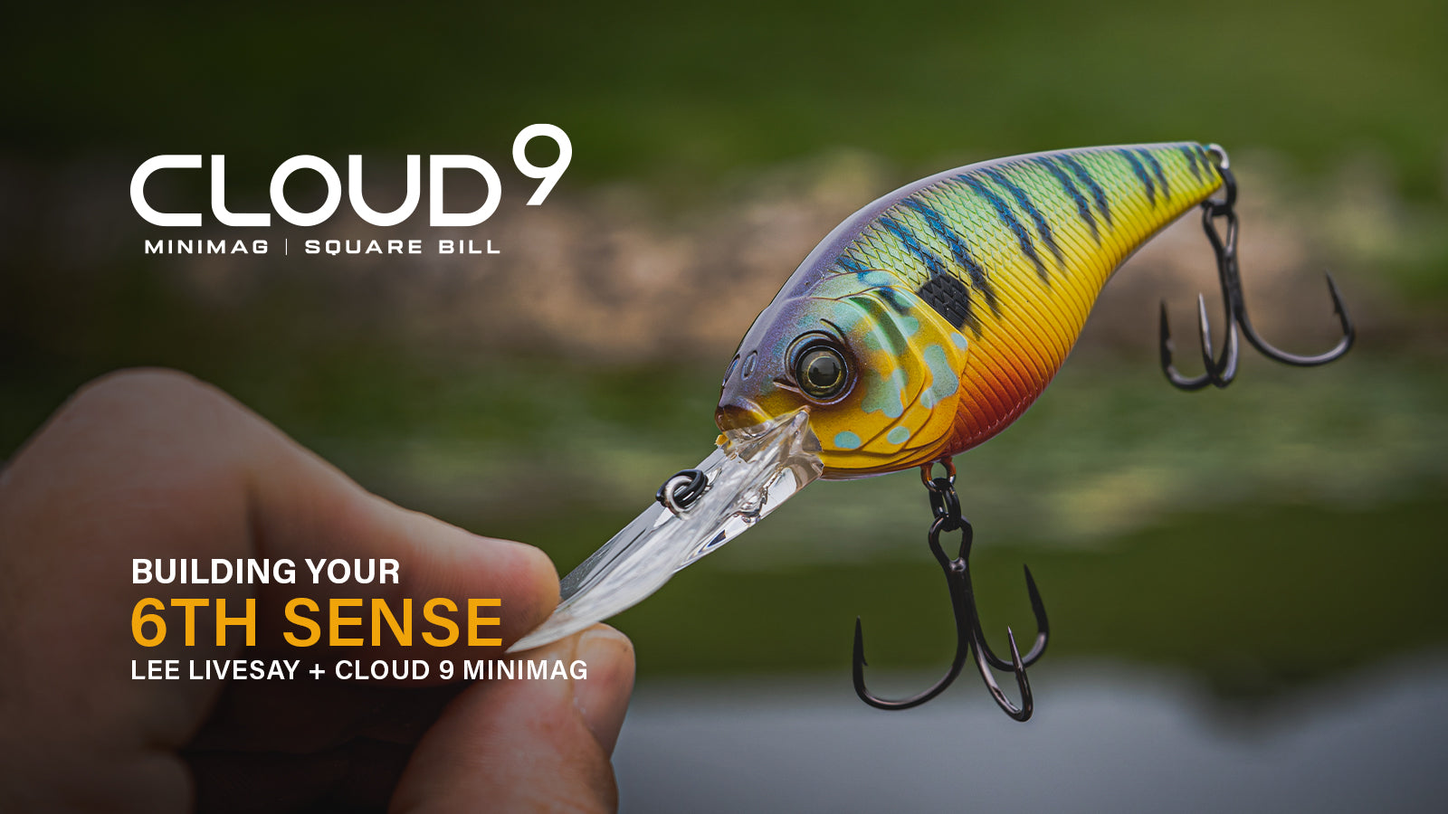 Building your 6th Sense: Lee Livesay + Cloud 9 MiniMag
