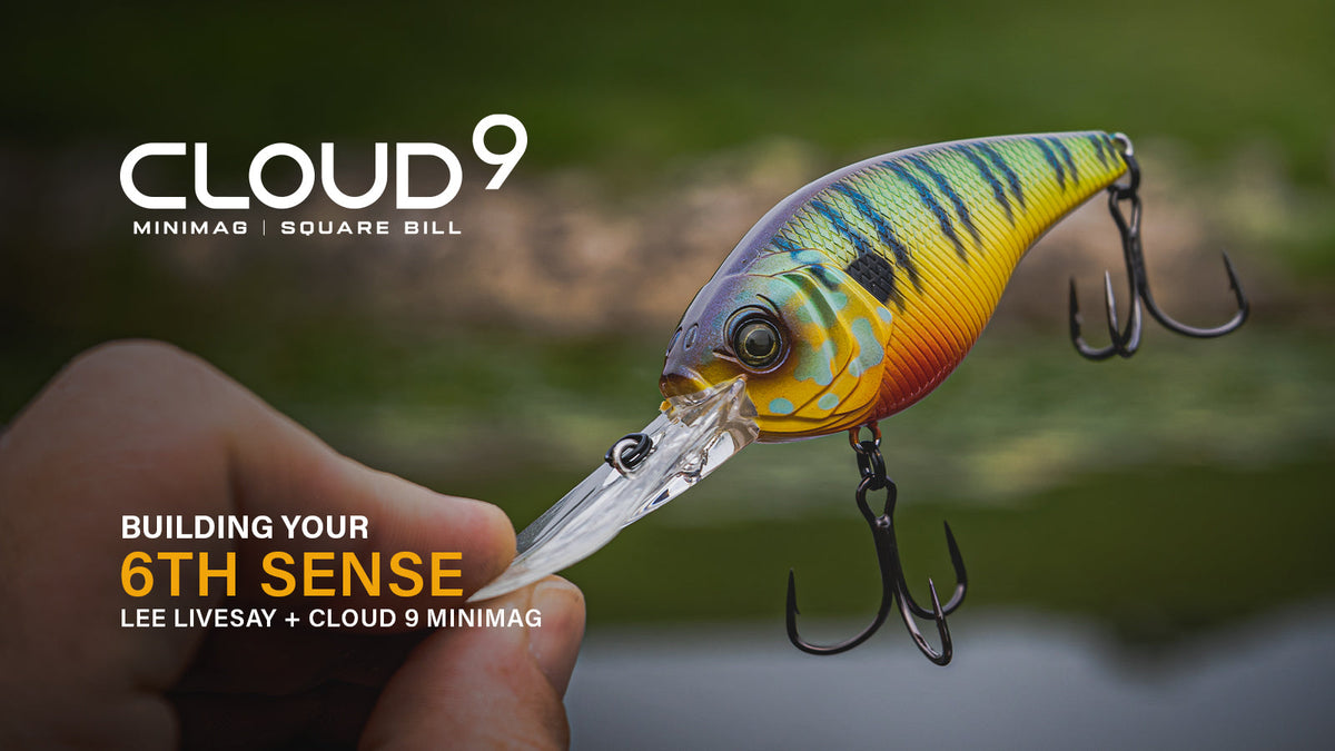 Building your 6th Sense: Lee Livesay + Cloud 9 MiniMag