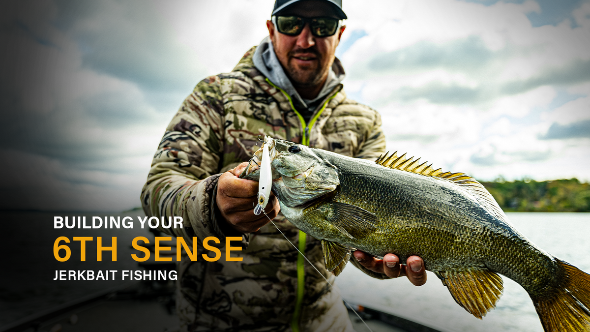 Building your 6th Sense: Jerkbait Fishing