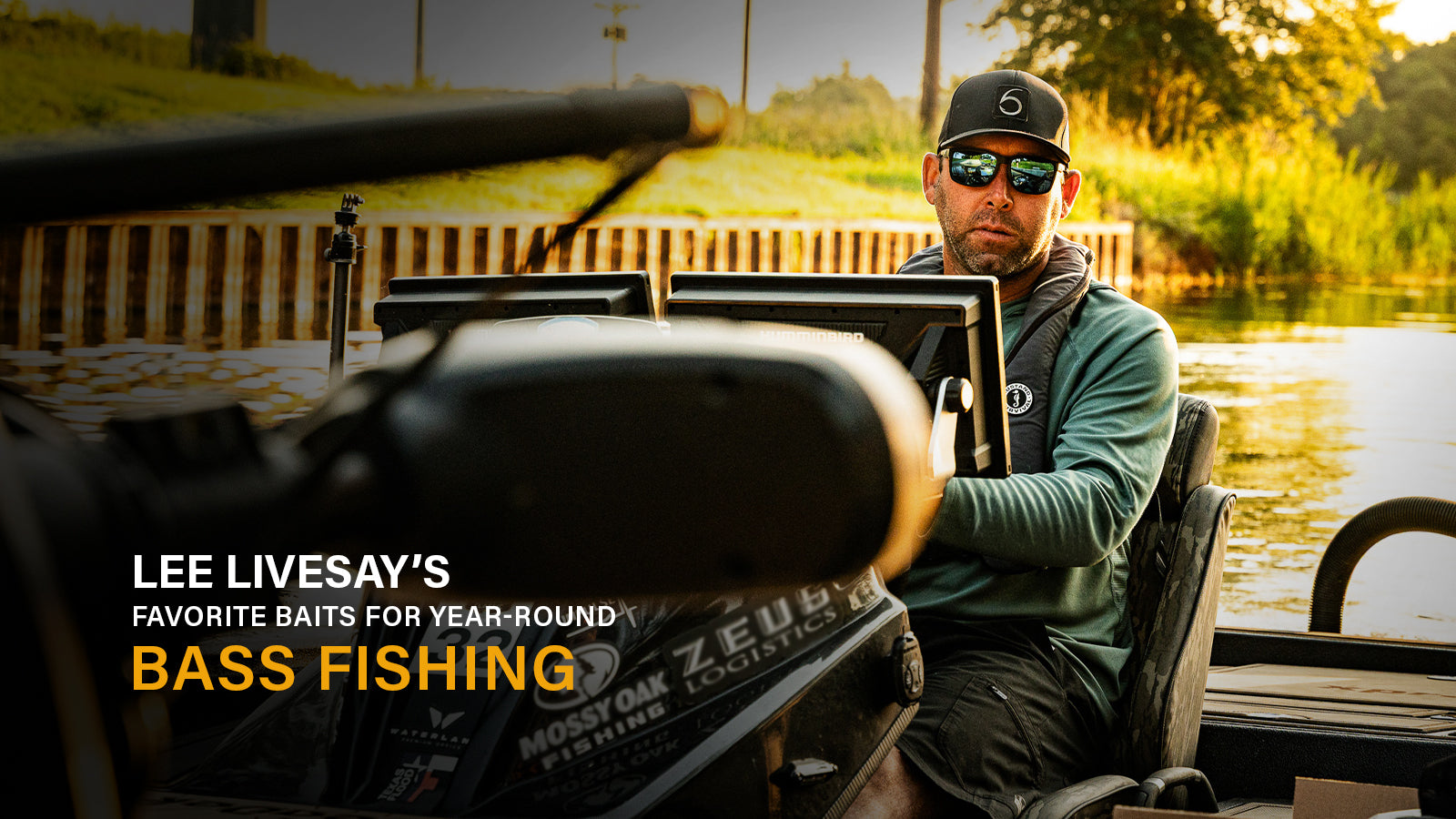 Lee Livesay’s Favorite Baits for Year-Round Bass Fishing
