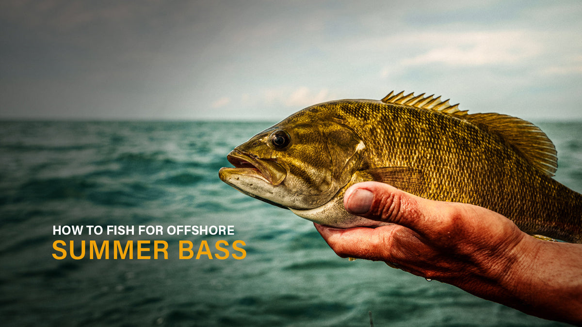 How to Fish for Offshore Summer Bass