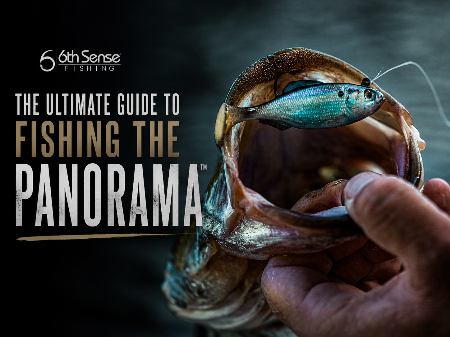 The Ultimate How-To Rigs for Fishing the Panorama