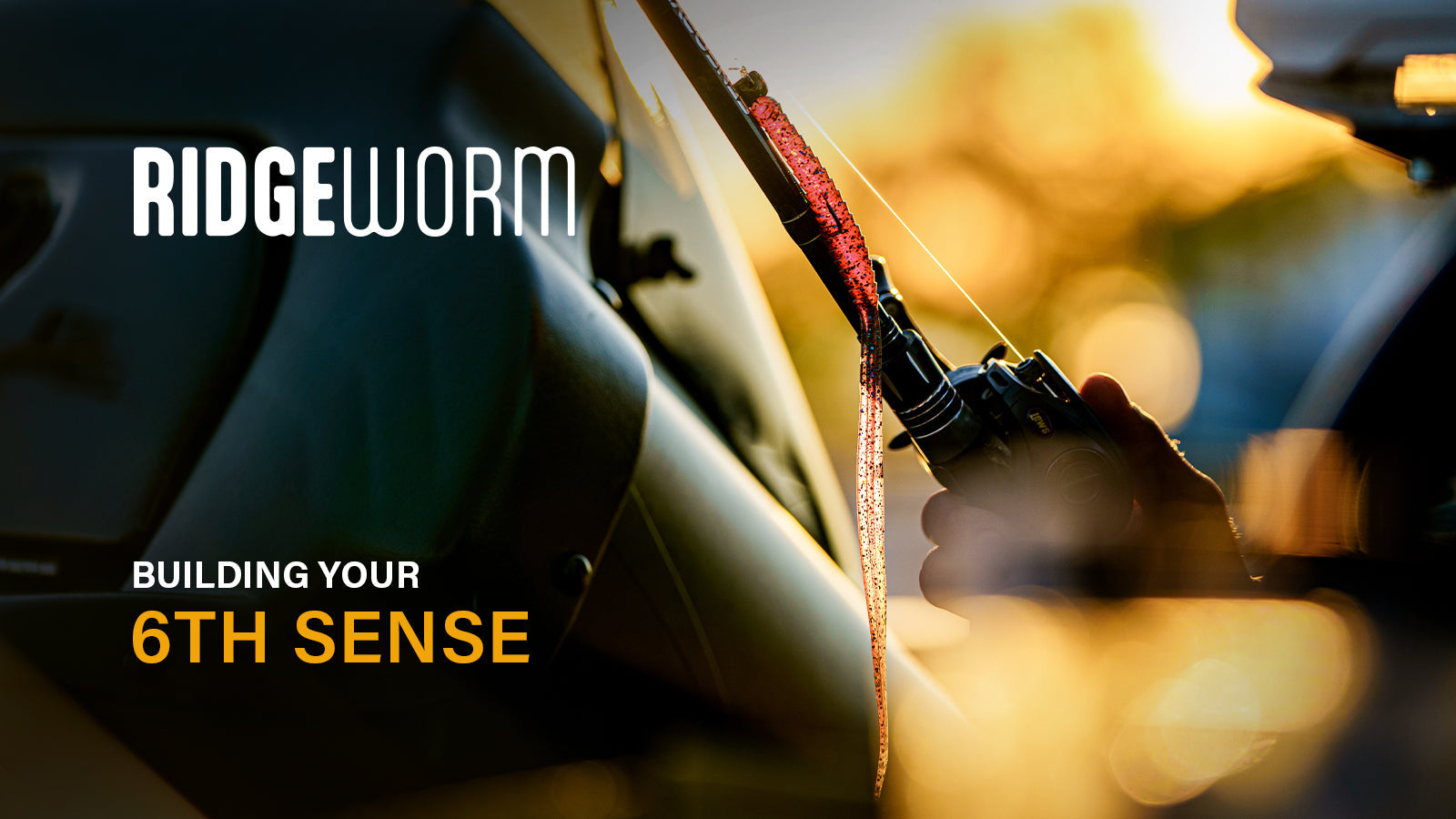 Building your 6th Sense: The Ridge Worm