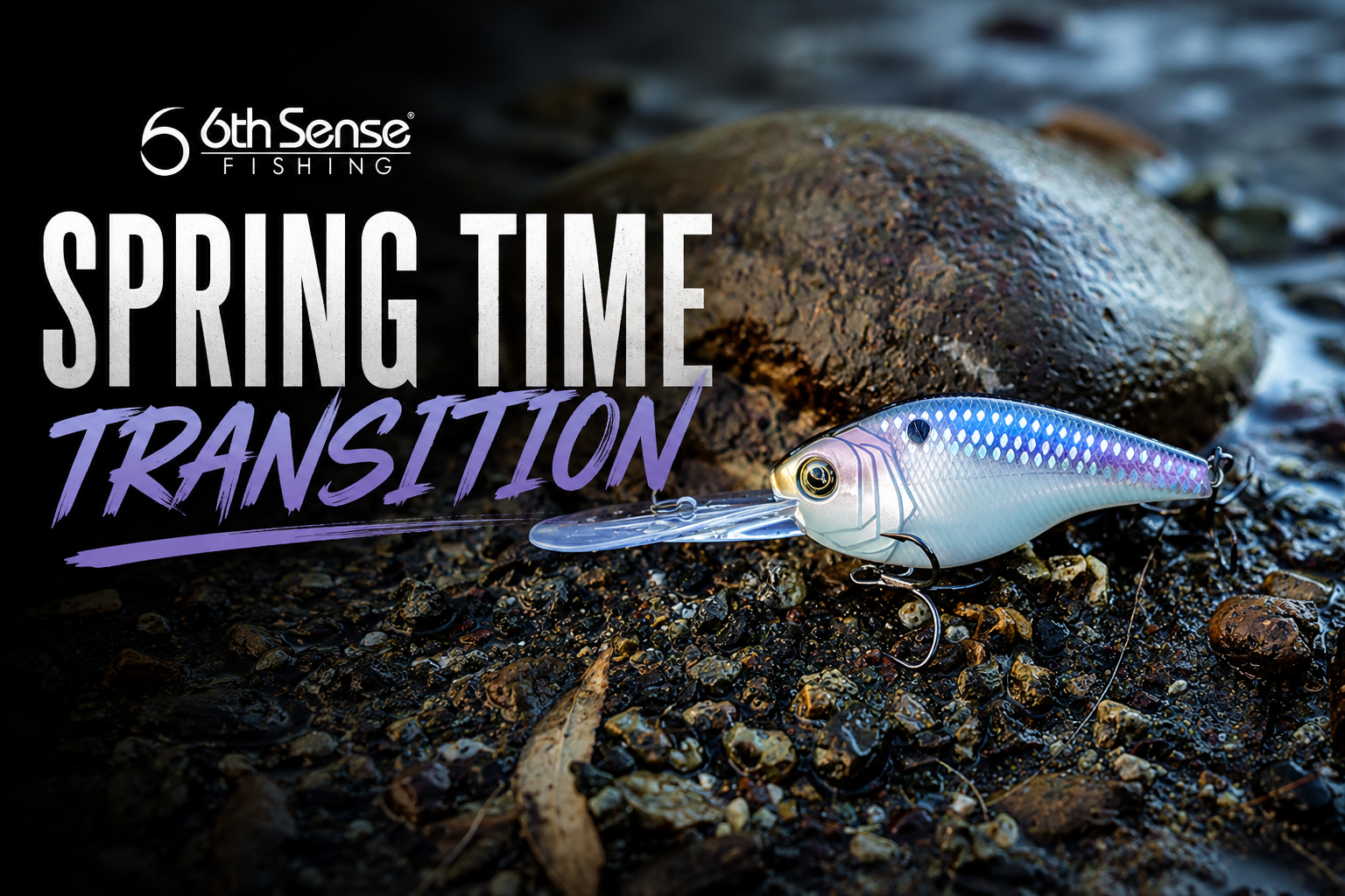 Building your 6th Sense: Spring Time Transition
