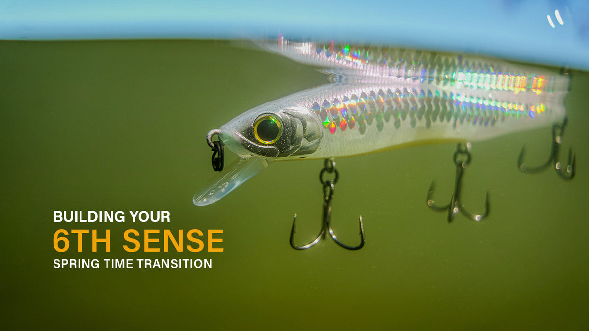 Building your 6th Sense: Spring Time Transition