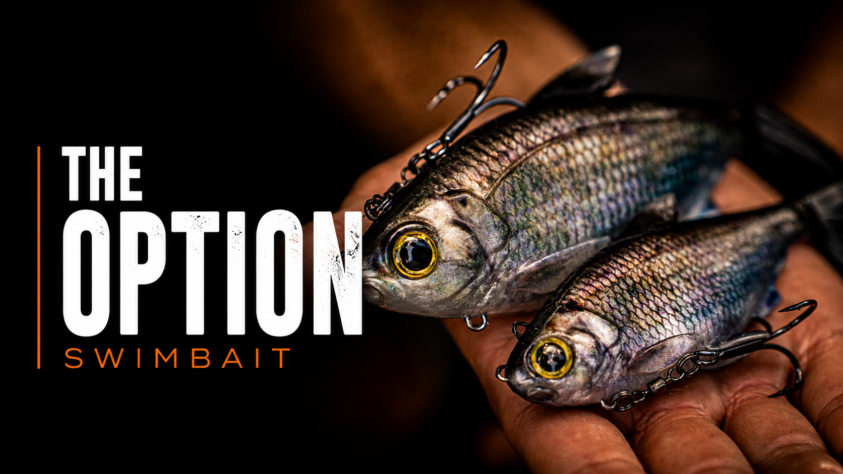 Option Swimbait: One Swimbait, Two Ways to Rig It