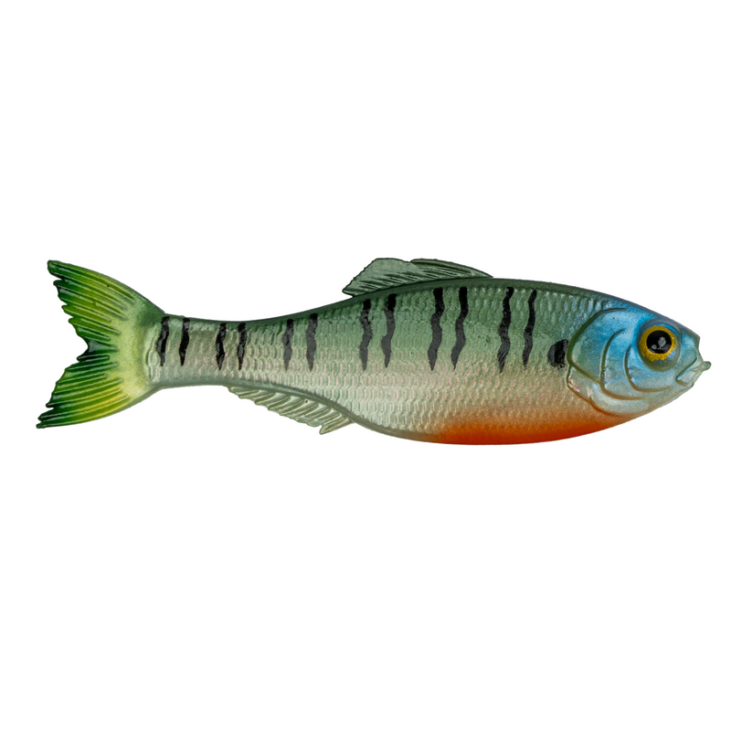 Panorama - 4K Bluegill - 6th Sense Fishing