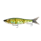 Quick safety checklist before using chicken for saltwater fishing