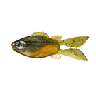 FlipGill - 4K Bluegill - 6th Sense Fishing