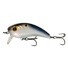 Movement Wake Series - 4K Shad - 6th Sense Fishing