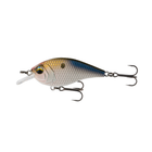 Pressure Series - 4K Shad - 6th Sense Fishing