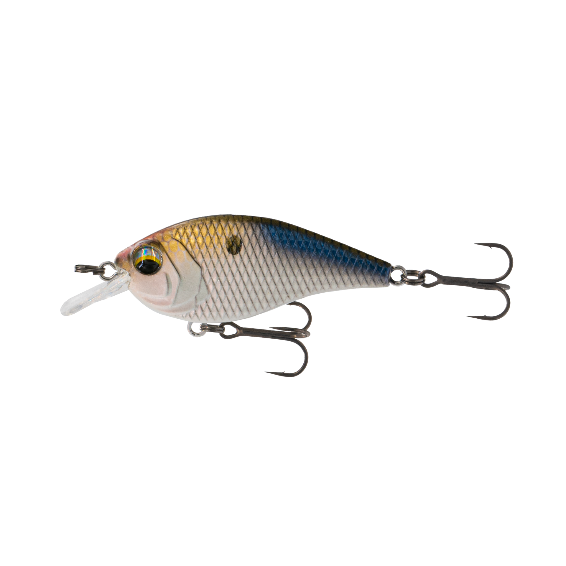 Dot SIX SHALLOW CRANKBAIT 3色セット 4kbluegill.png?v=1751405586&